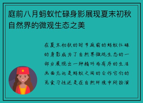 庭前八月蚂蚁忙碌身影展现夏末初秋自然界的微观生态之美